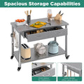 AECOJOY Stainless Steel Work Table with 2 Drawers, 48"x24" Commercial Kitchen Prep Table with Casters